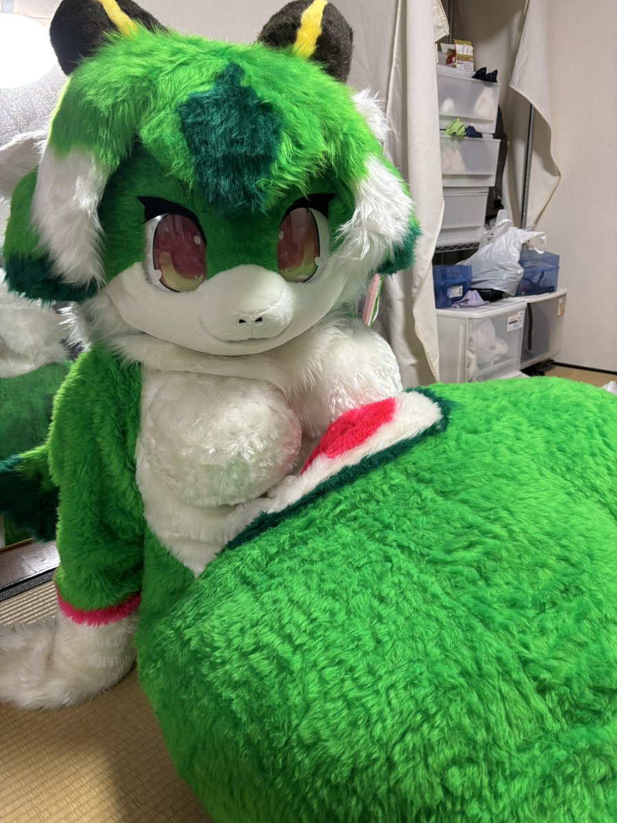 ぱる(팔)@𝙉𝙚𝙭𝙩 ︎例大祭 tweet media