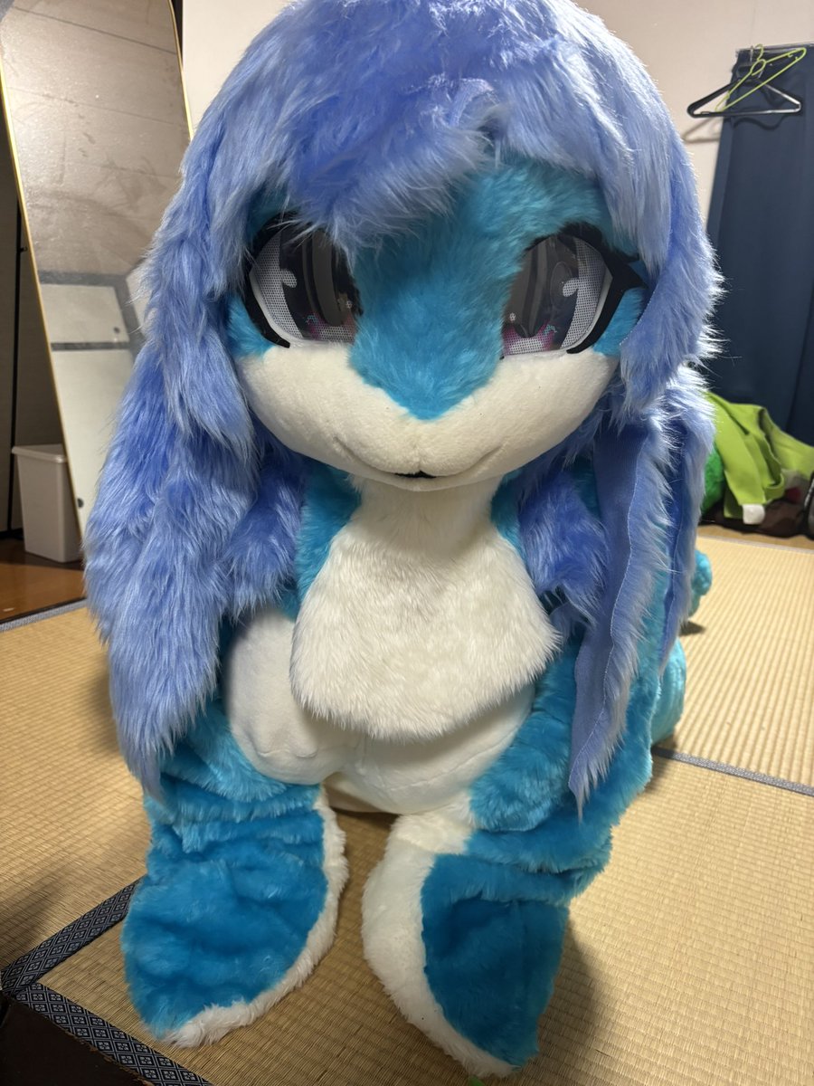 ぱる(팔)@𝙉𝙚𝙭𝙩 ︎例大祭 tweet media