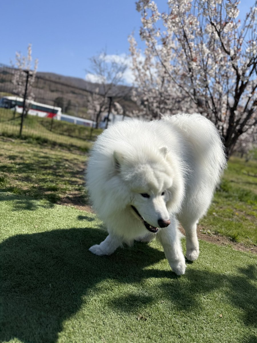 休憩中

さて今日の行先は…🤭