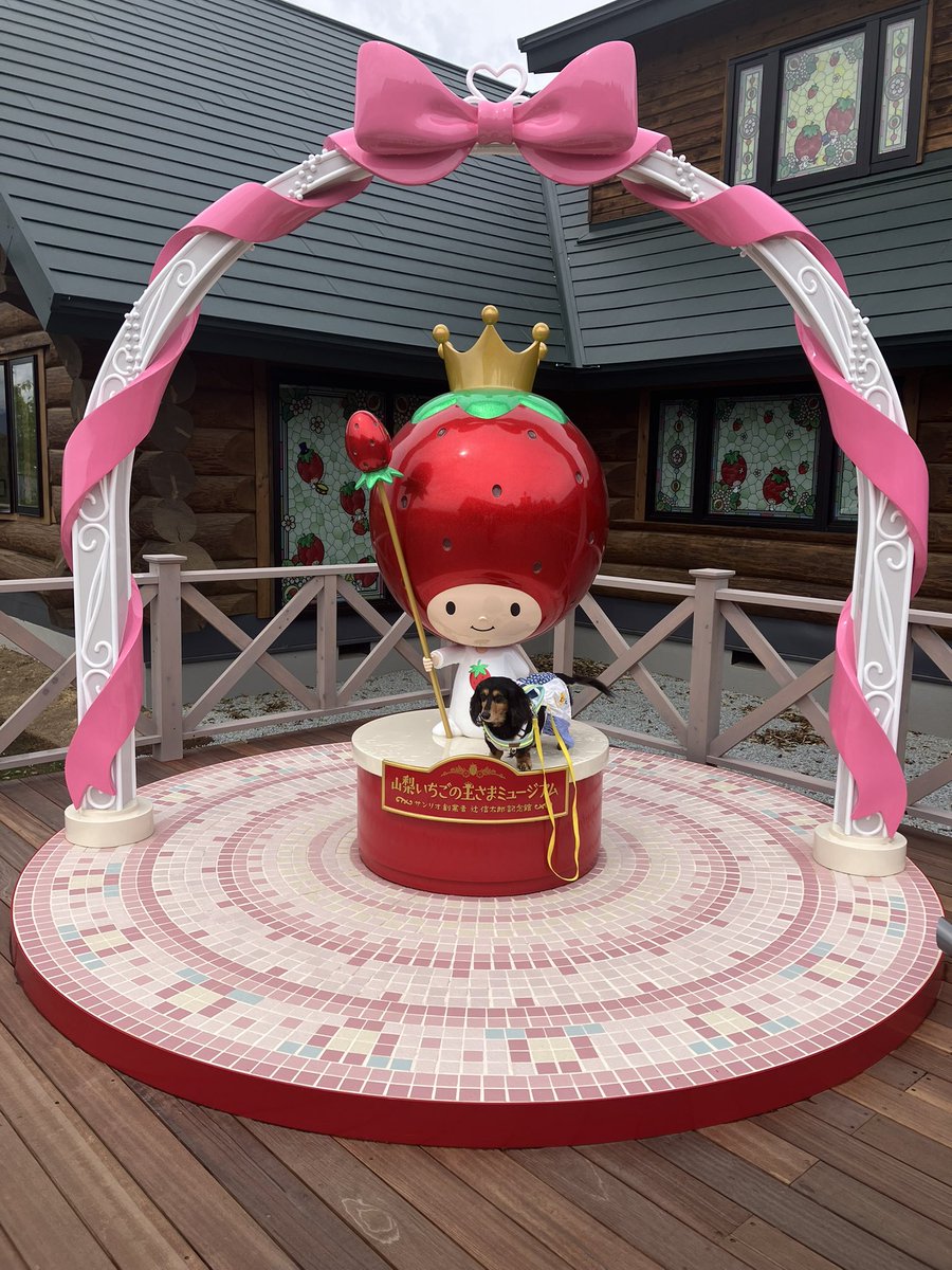 かりんとフェル tweet media