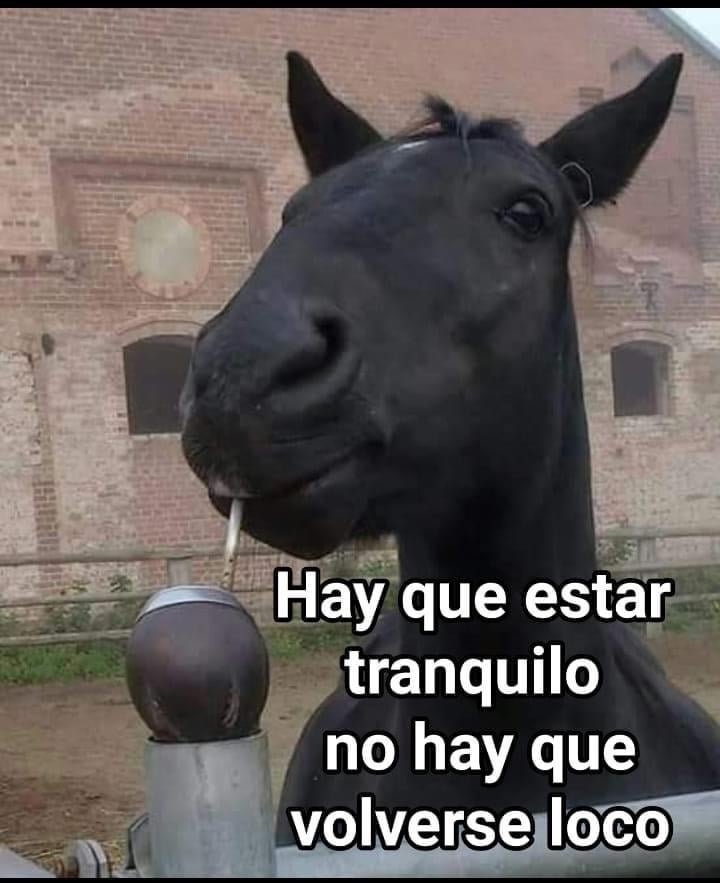 CandeD ⏳️ tweet media