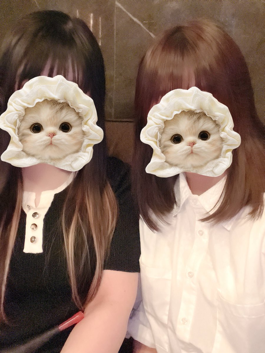なこ🐈‍⬛♡サブ垢 tweet media