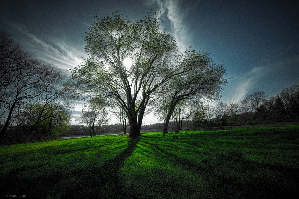 LADA_DE_LUXE's tweet image. Radiance
#photography #art 
#photographtart