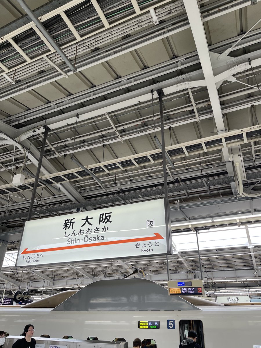 ぐろっぷ tweet media