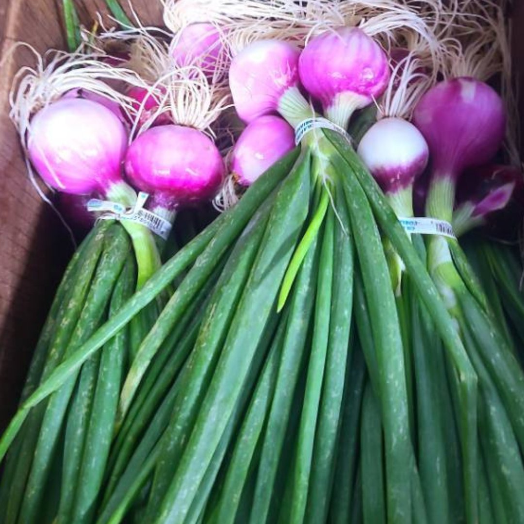 SLOVEG's tweet photo. 🍒Support Your Local Farmers with SLO Veg - This Week's Farm Boxes April 28-May 1, 2026 - https://t.co/g4P4Xhs8wp https://t.co/Wgz11T67yD