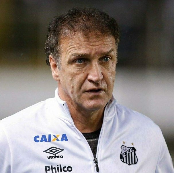 rodriguesˢᶜᶜᵖ tweet media