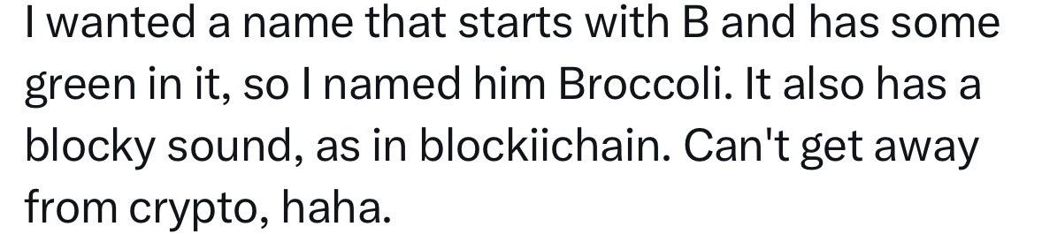 Broccoli tweet media