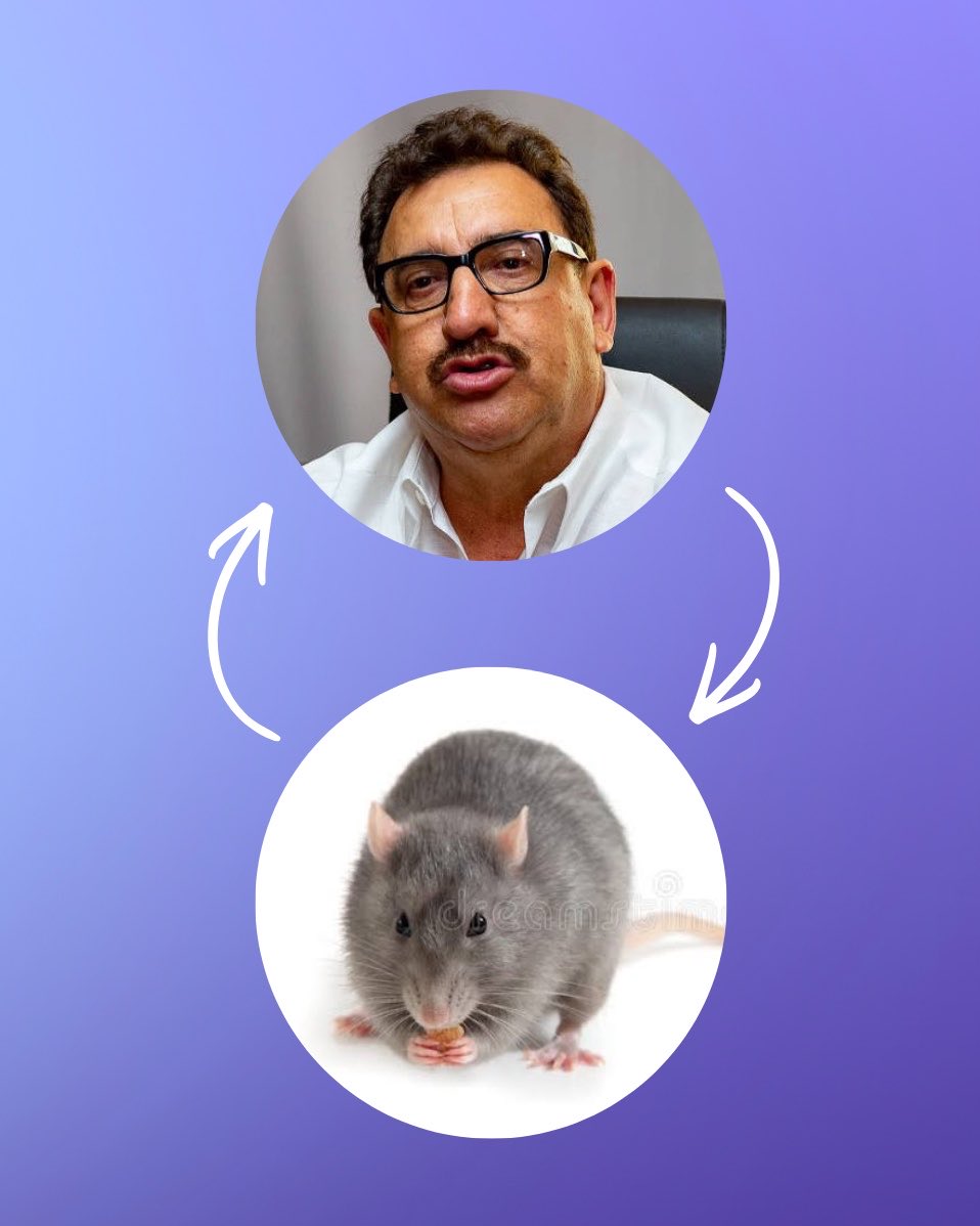 QG do POP tweet media