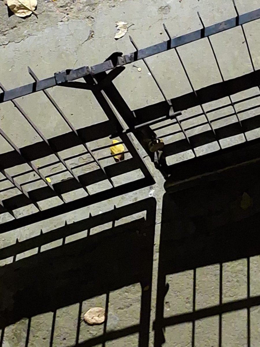 Narendr51543168's tweet image. Lines
#photography #photographer
#photograph #form