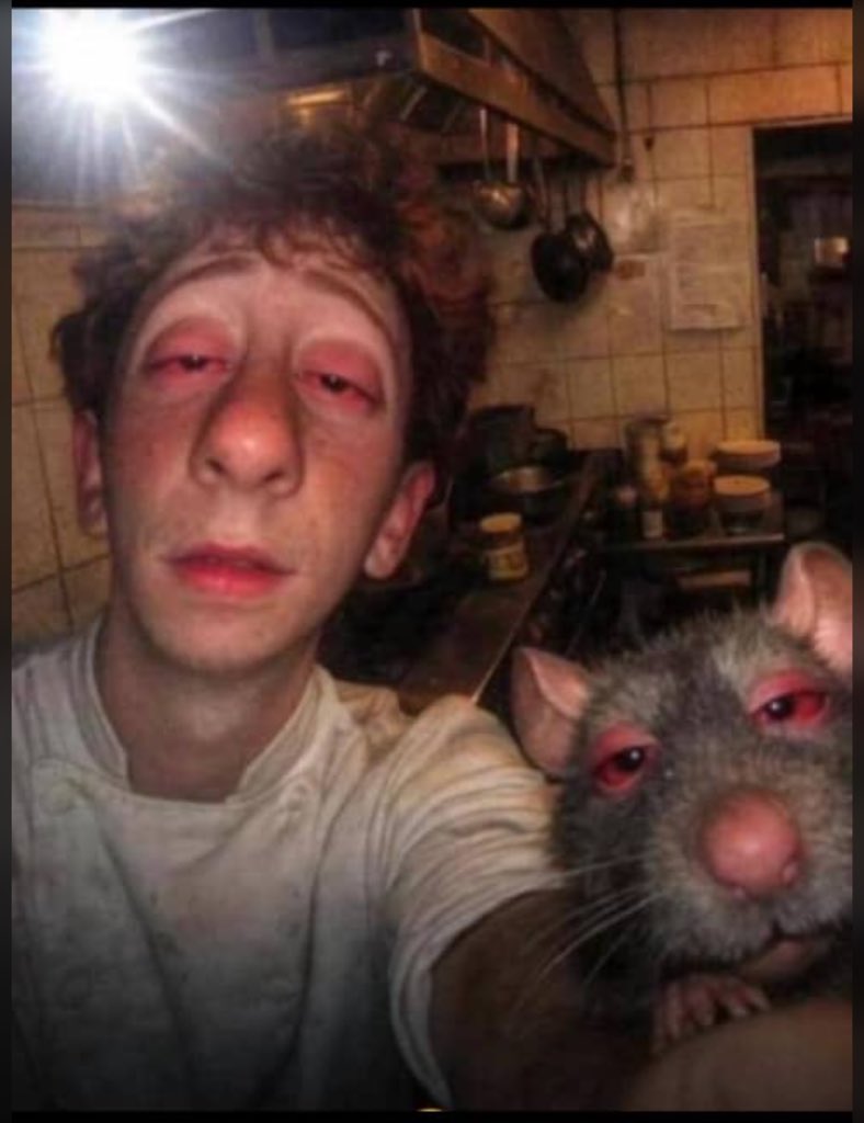 Laara Kroft tweet media