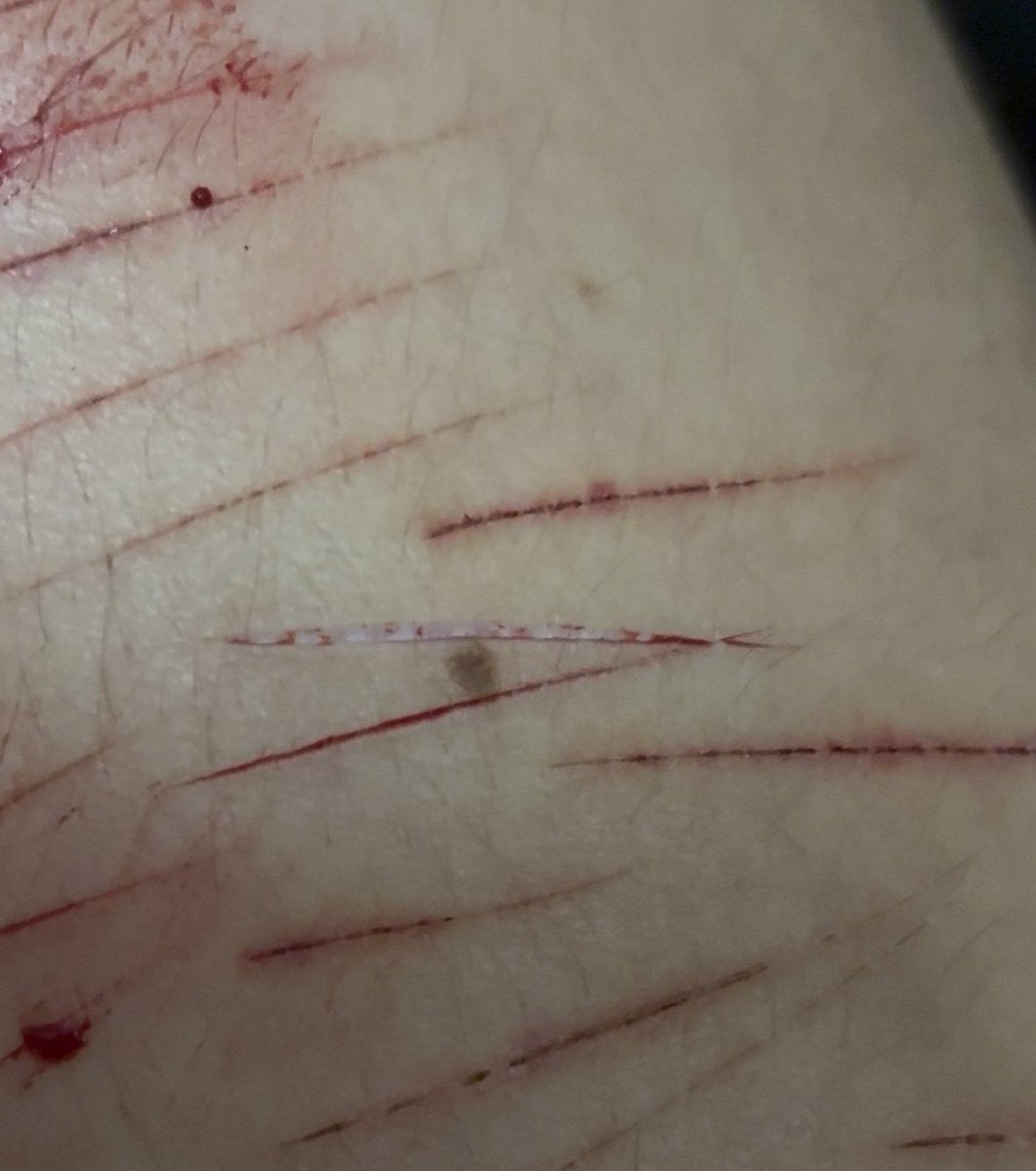 bri | shtwt .✦ ݁˖ tweet media