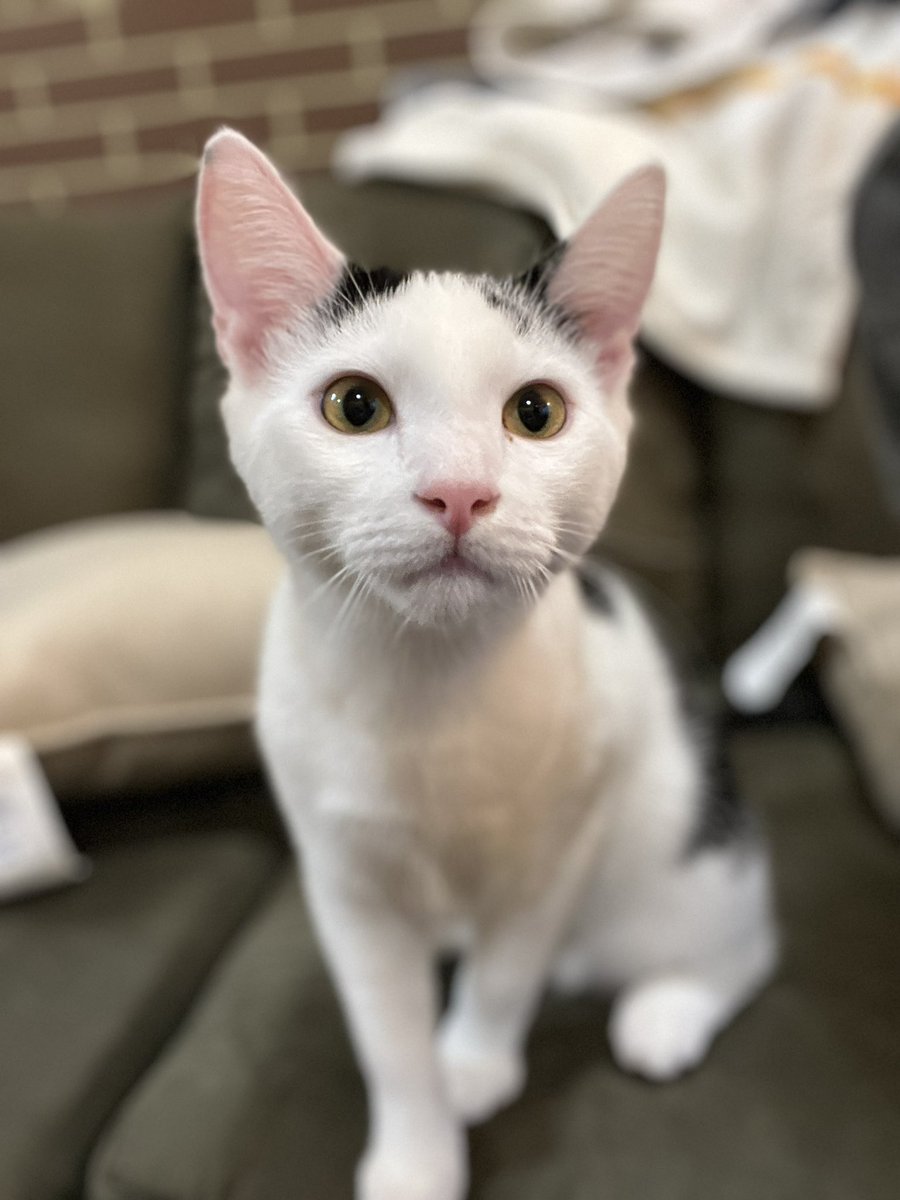 Sully 🧪 tweet media