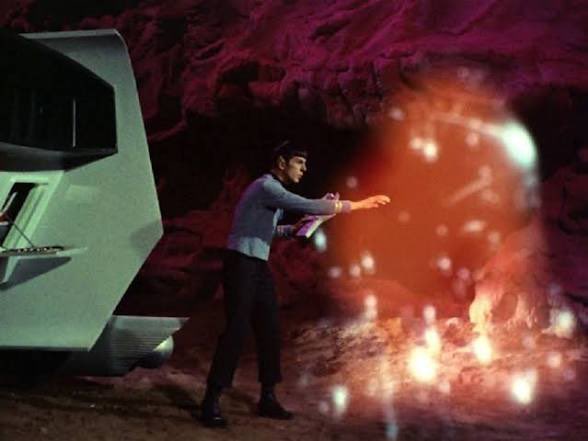 Stacie Davis 🛍️🦋💐 tweet media