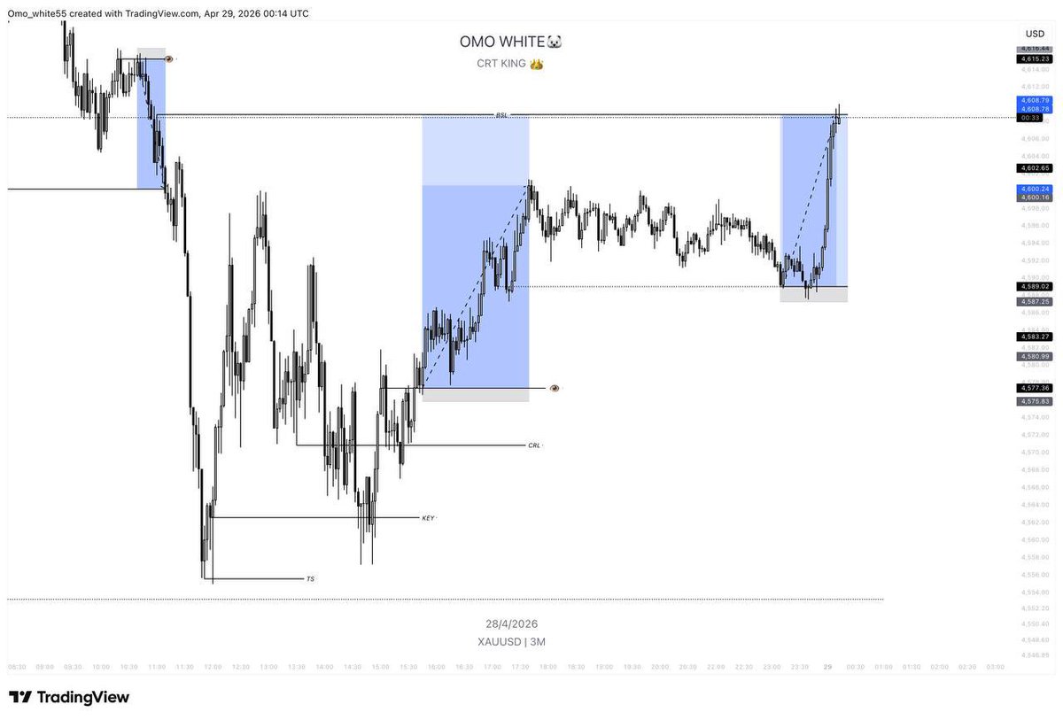 OMO WHITE 🐻‍❄️ tweet media