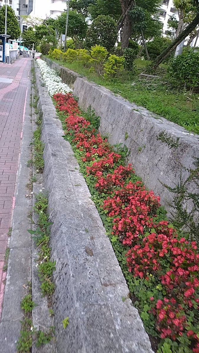 やまざる弐号 tweet media