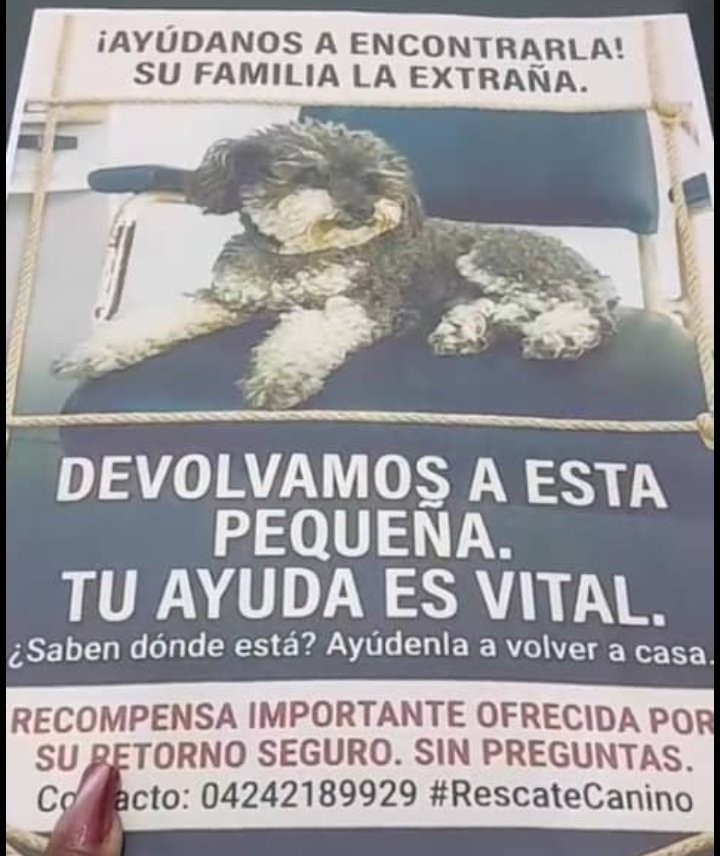 Inyerber Gutiérrez 🇻🇪🇻🇪🇻🇪 tweet media