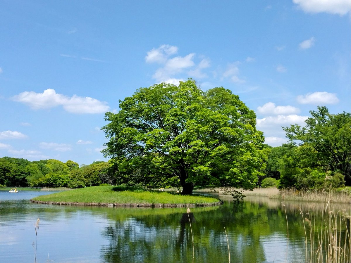 柚子🪽 tweet media