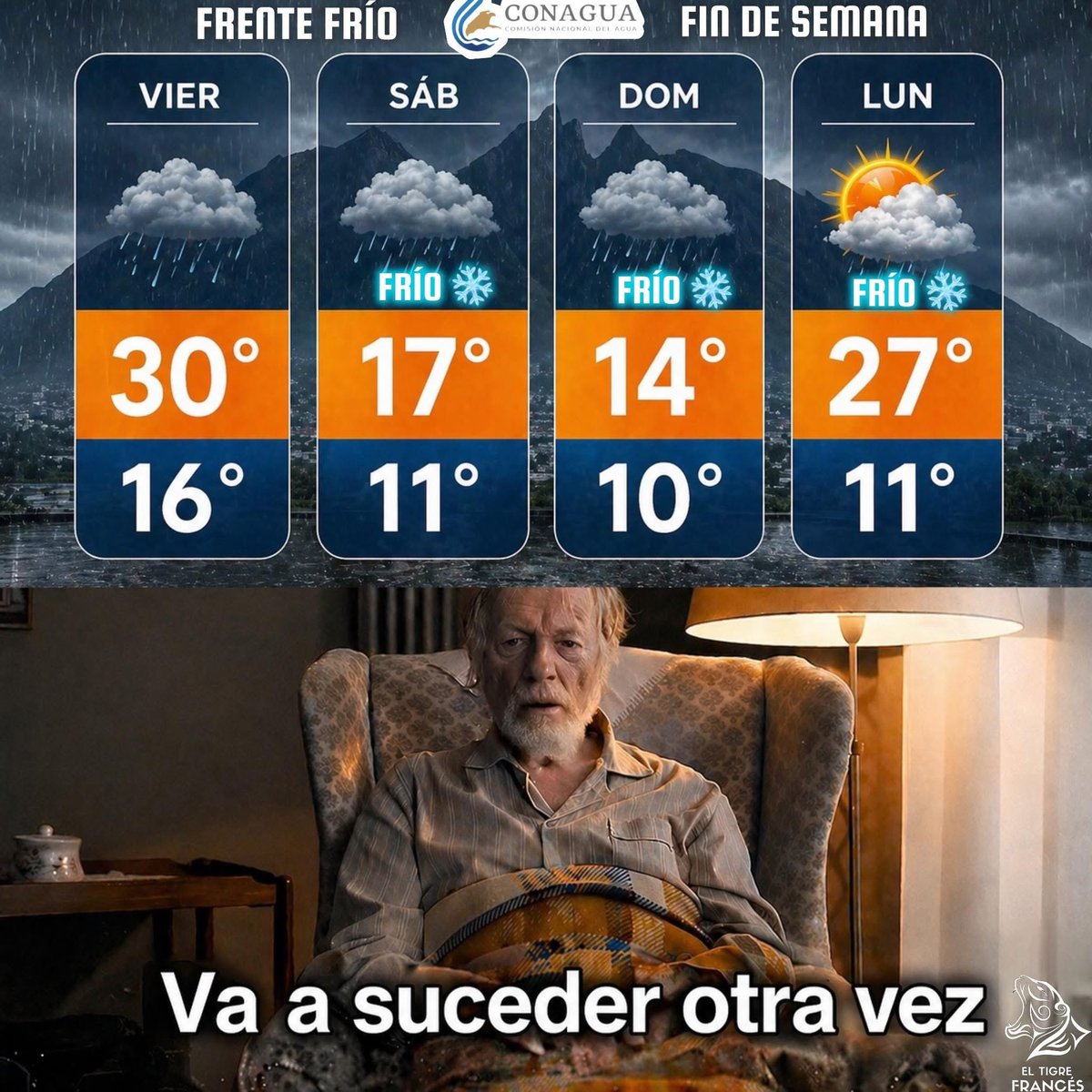 mariana tweet media