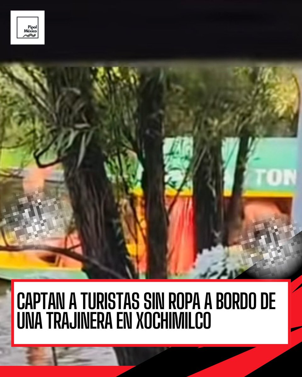 Pipol México tweet media