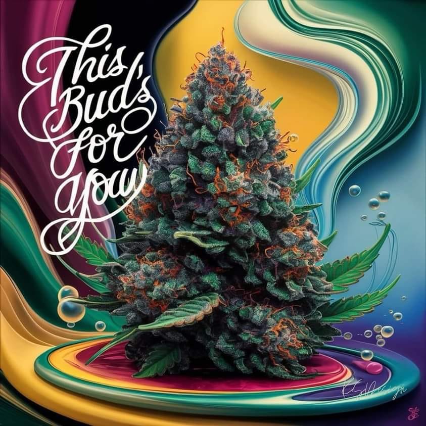 Tracy Goudreau tweet media