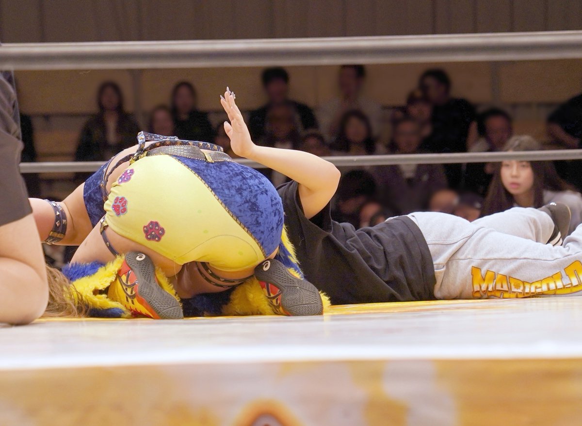 arrinaimyon1's tweet image. 2026年4月25日　後楽園ホール
マリーゴールド　#MARIGOLD　#pw_mg
◆BEW女子選手権試合
エンジェル・ヘイズ vs #山岡聖怜

試合後、リングにあがって山岡聖怜さんを介抱する
#山﨑裕花 さんです
@y_seri_1113
@__ukachan