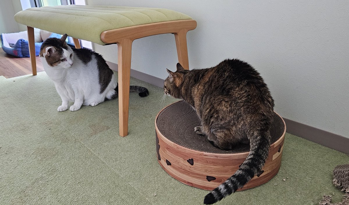 三岡 陽 tweet media