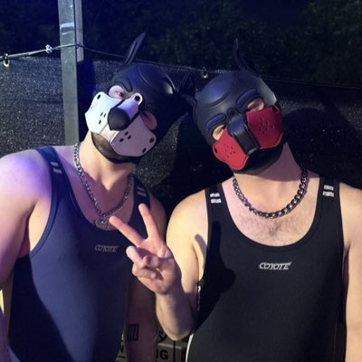 Blaidd and Trance ➡️ PURPLE PARTY tweet media