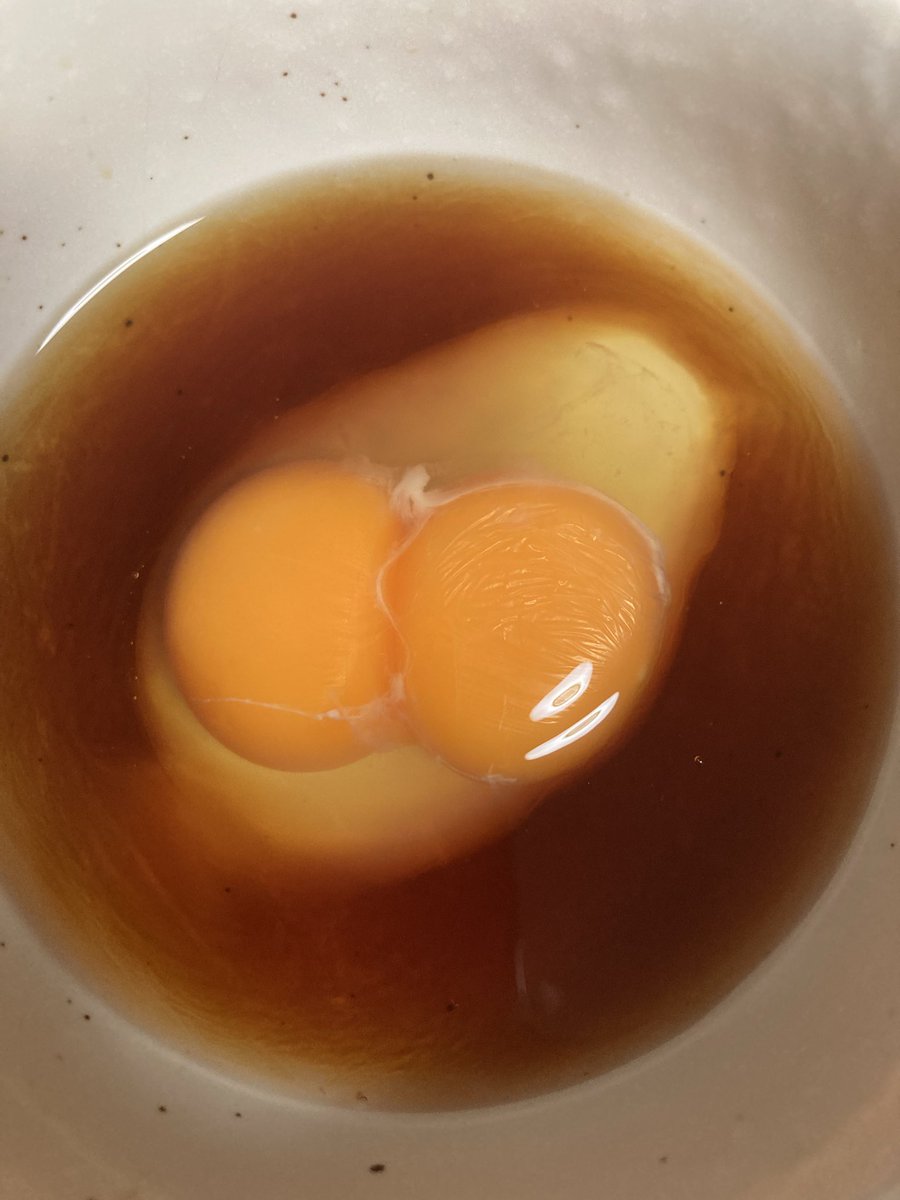 919☁️
水曜日が祝日なのは嬉しい！
🥚は双子でした👀