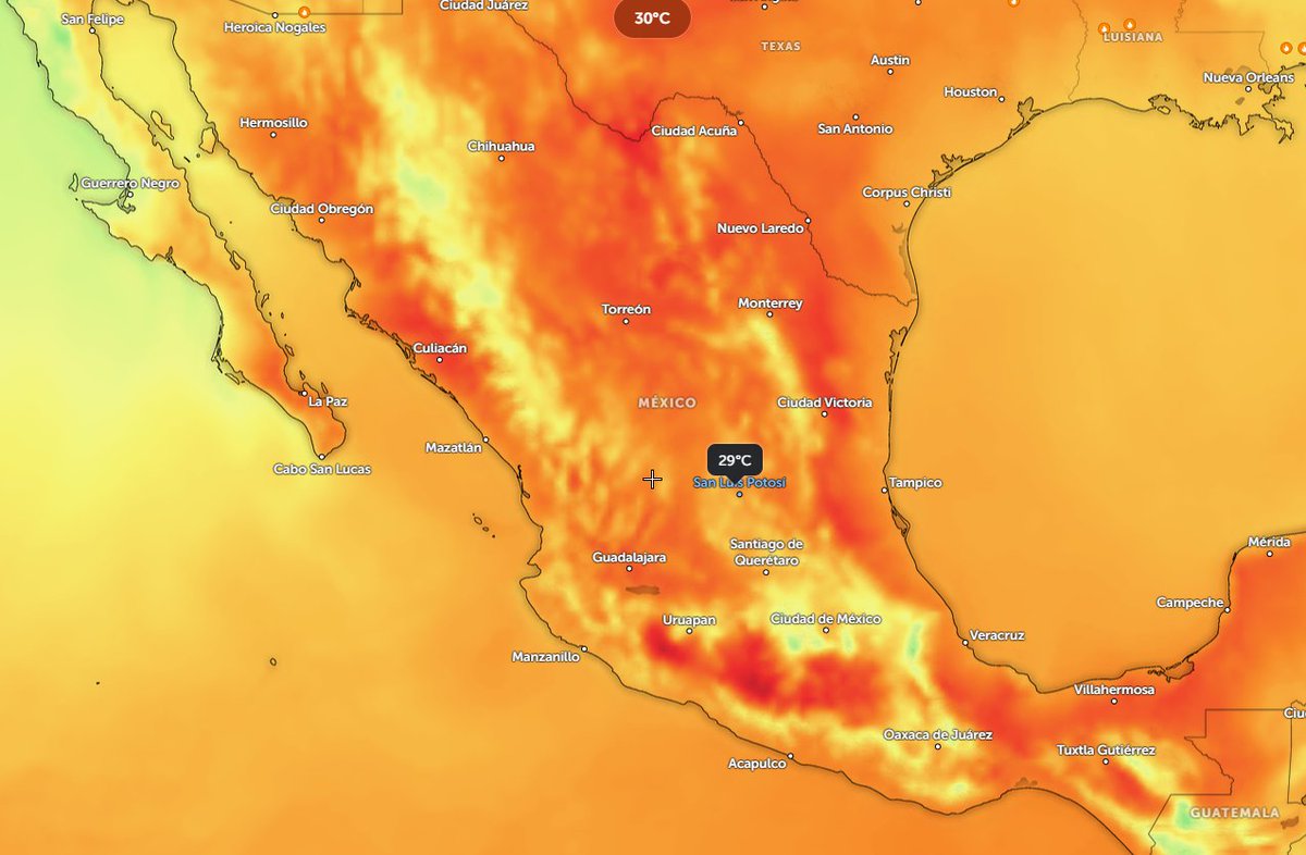 SICIMMAT-SLP tweet media