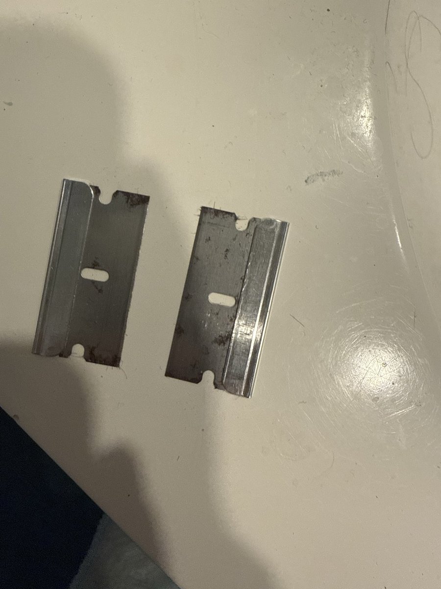 The Rotten log round the creek bend tweet media