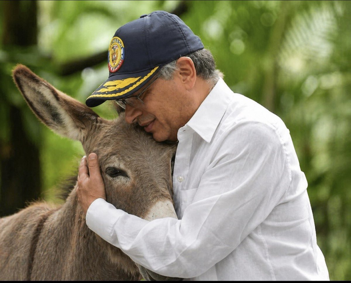 Gusvago Perto tweet media