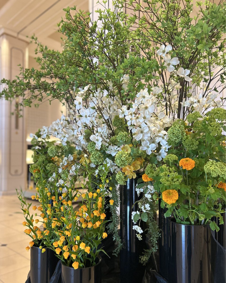 LIBER_HOTEL's tweet photo. 開放的なロビーに広がる、みずみずしい新緑の装花。
やわらかな光を受けて、空間をさわやかに彩ります。

���ナミズキを中心に、
ドウダンツツジやスノーボールが織りなす、
軽やかでやさしいグリーンのハーモニー🌿

ロビーを彩る「新緑の装花」とともに、
皆さまのご来館を心よりお待ちしております✨ https://t.co/tUKxre6MoK