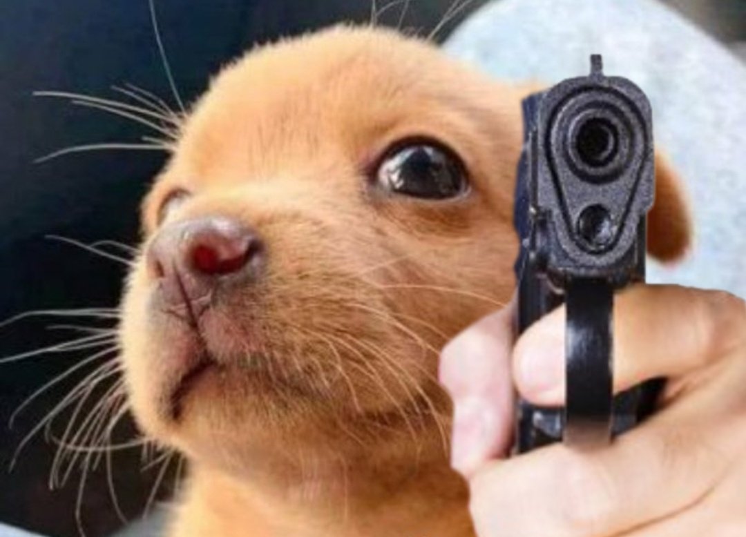 Darth Ramsick tweet media