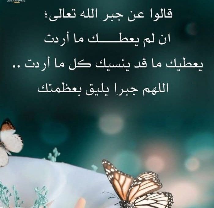 Heba Hassn 🐝 أم الدكتوره tweet media