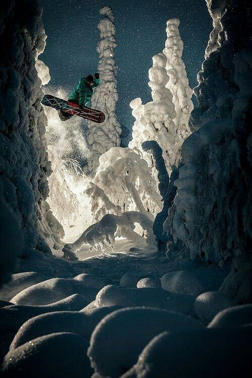 ZeroWildTrail's tweet image. Midnight air, snow-dusted trees, and pure magic.
This is what happens when you ride under the stars, surrounded by winter’s wildest sculptures.
Night snowboarding hits different. 🏂❄️✨
#NightSnowboarding #WinterWonderland #BackcountryStoke