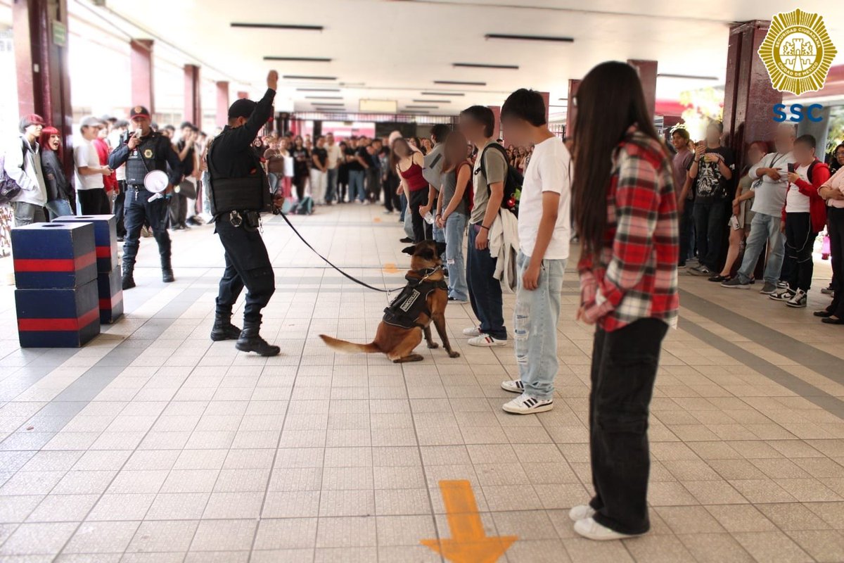 PBI_SSC's tweet image. La #UnidadCanina de la #PBI de la @SSC_CDMX realizó una exhibición en el #CECyT No. 8 #NarcisoBassols, ubicado en @AzcapotzalcoMx, donde #Randy y #Kratos 🐕‍🦺 demostraron sus habilidades y el trabajo estratégico que desempeñan para fortalecer la seguridad; además, tuvieron la