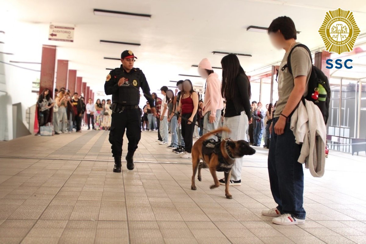 PBI_SSC's tweet image. La #UnidadCanina de la #PBI de la @SSC_CDMX realizó una exhibición en el #CECyT No. 8 #NarcisoBassols, ubicado en @AzcapotzalcoMx, donde #Randy y #Kratos 🐕‍🦺 demostraron sus habilidades y el trabajo estratégico que desempeñan para fortalecer la seguridad; además, tuvieron la