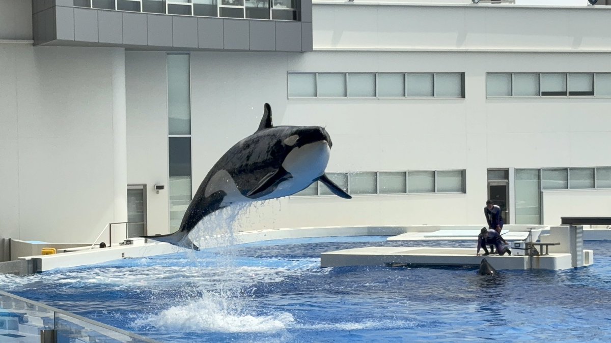 おはようございます！！

須磨シー今向かってます✨
今日は何が見れるのかな😆
#須磨シー　#ステラ　#ラン