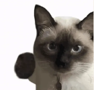 Gabriel Edgar tweet media