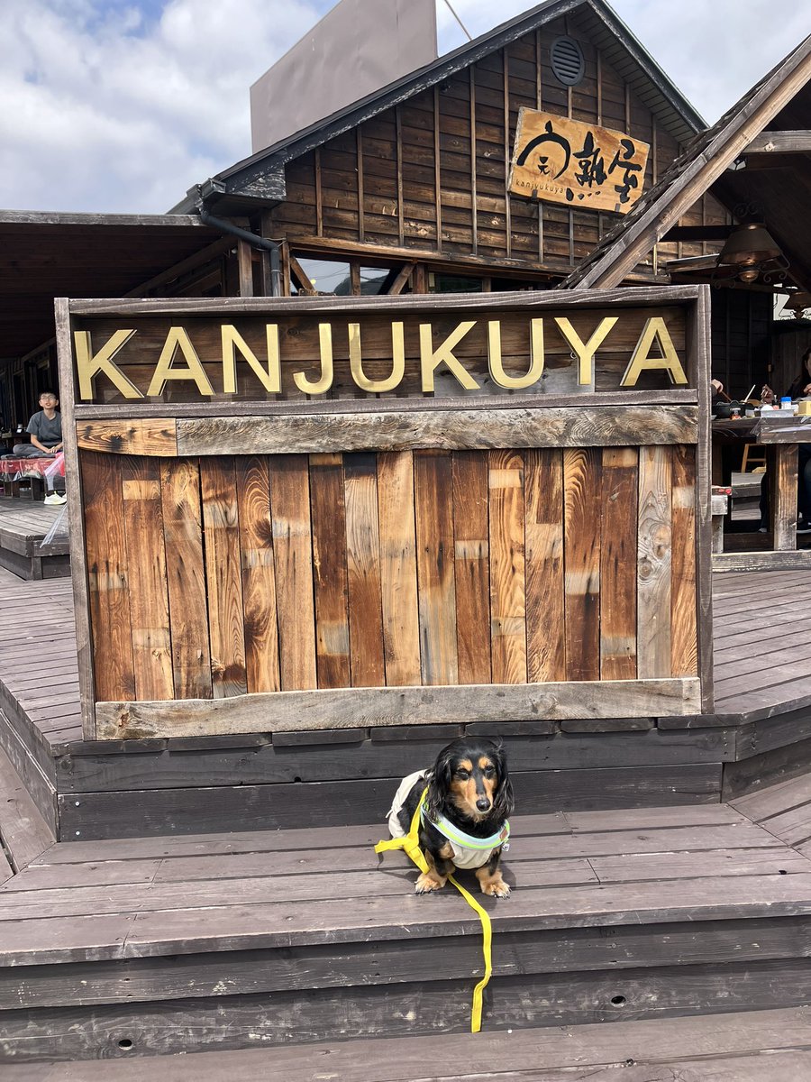 かりんとフェル tweet media