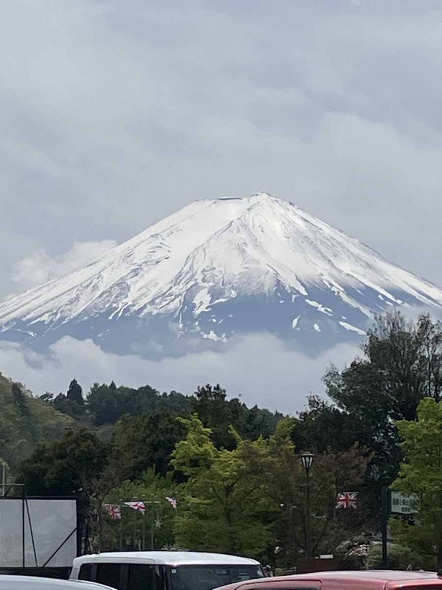 かりんとフェル tweet media