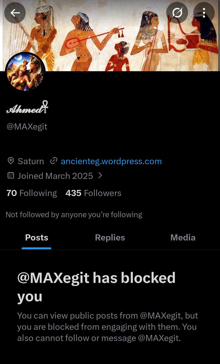 Laila Hesham tweet media