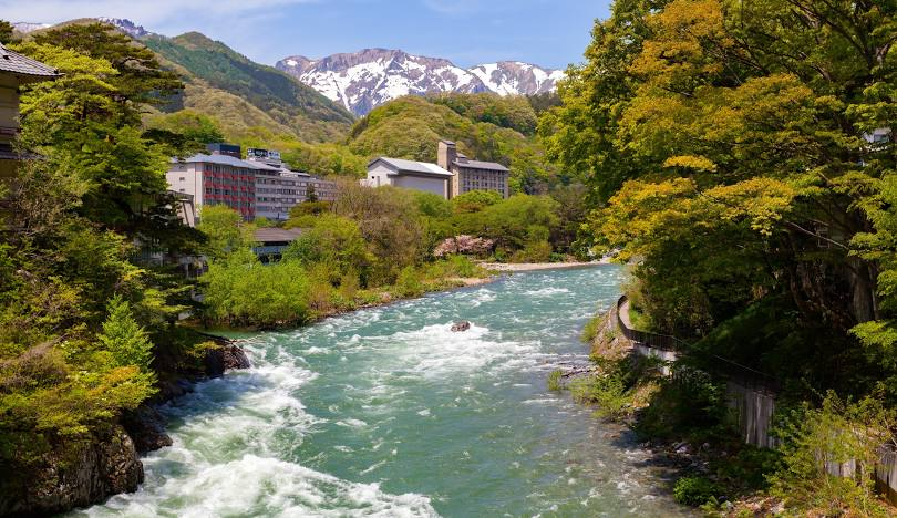 西村光太郎🐹Kotaro Nishimura💛ωはむはむω(`∂ω∂´)ｼｬｷｰﾝは大切💛 tweet media