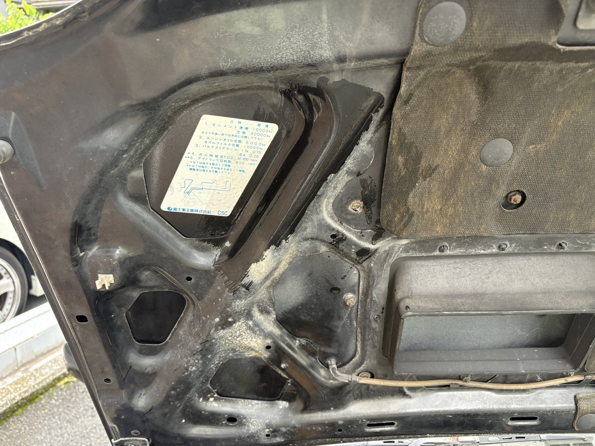 🎀ぺこ🎀 tweet media