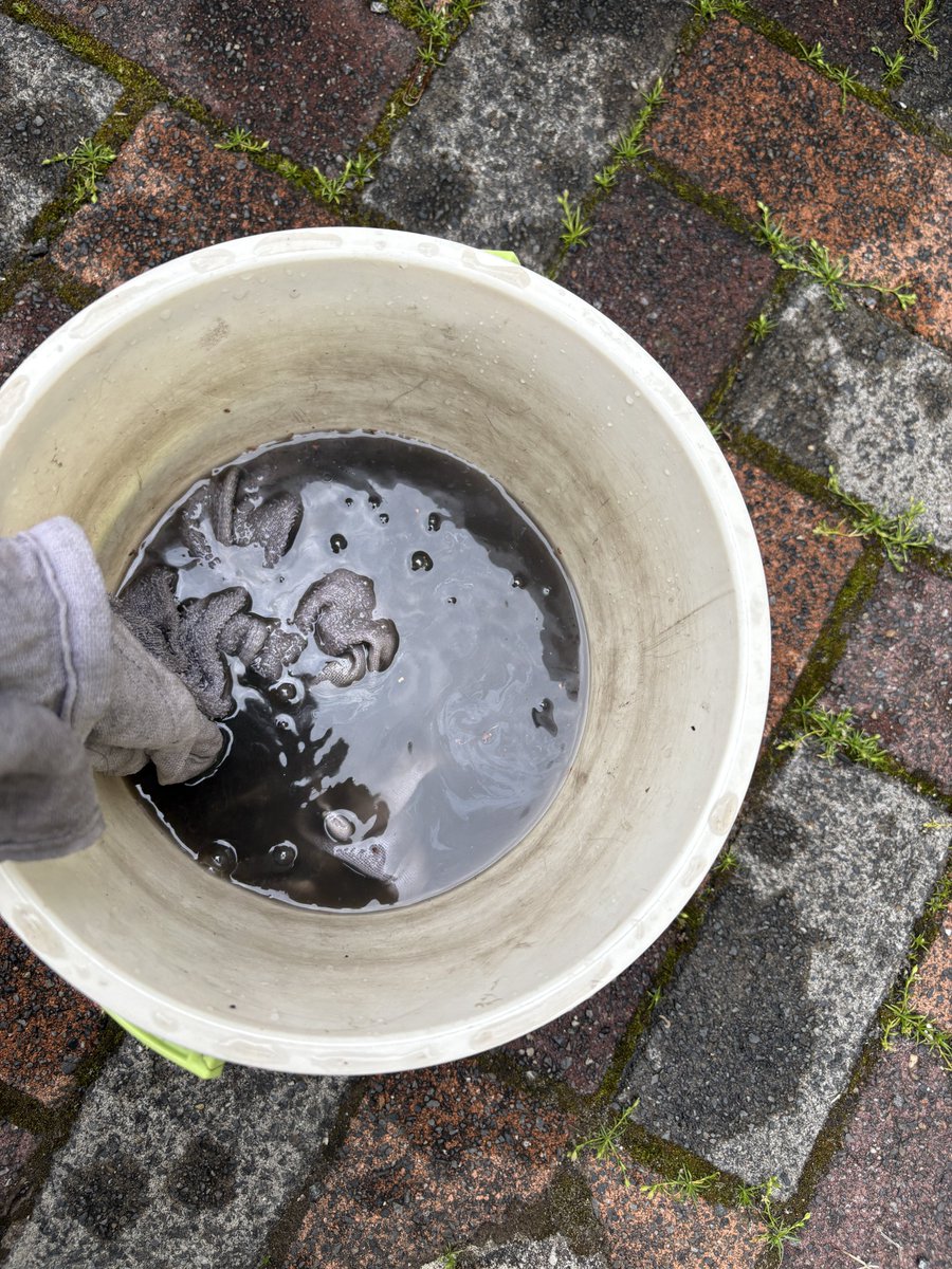 🎀ぺこ🎀 tweet media