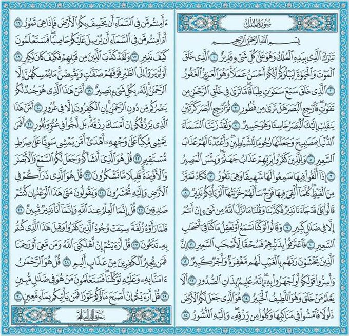 S tweet media
