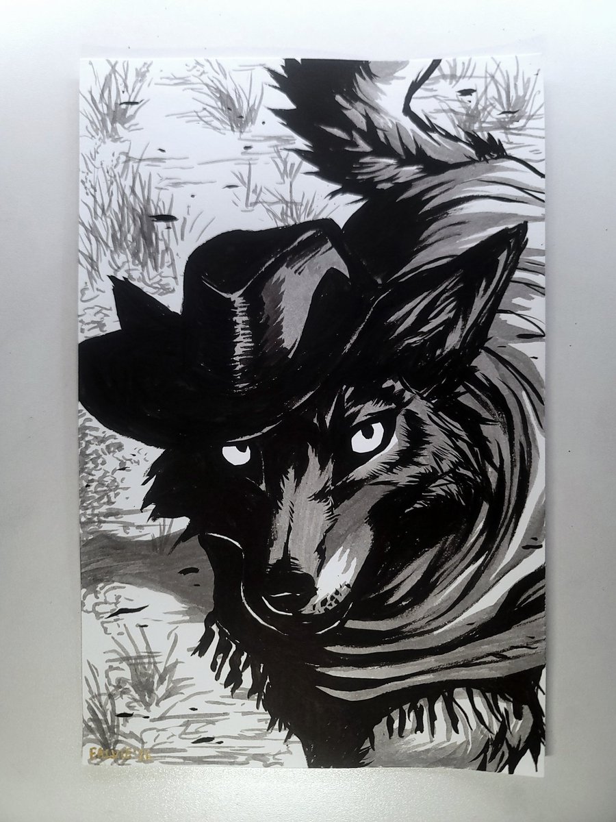 cowboy coyote numero dos