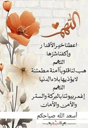 Mohammed almosawi tweet media