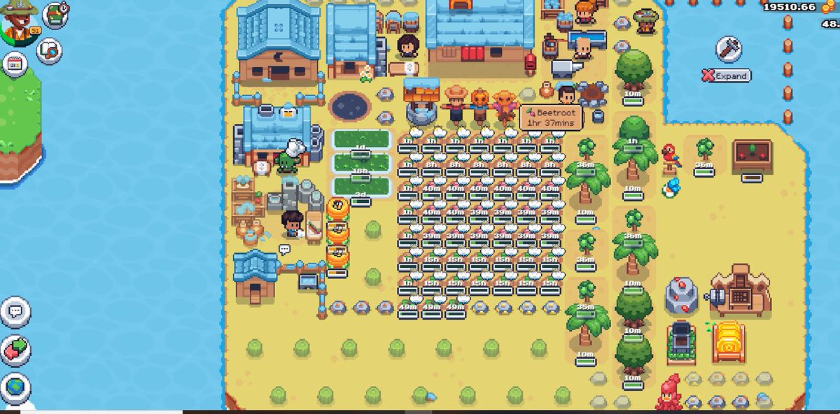 victorboston27's tweet photo. #SunflowerLandFarm https://t.co/8aRboDCUCD