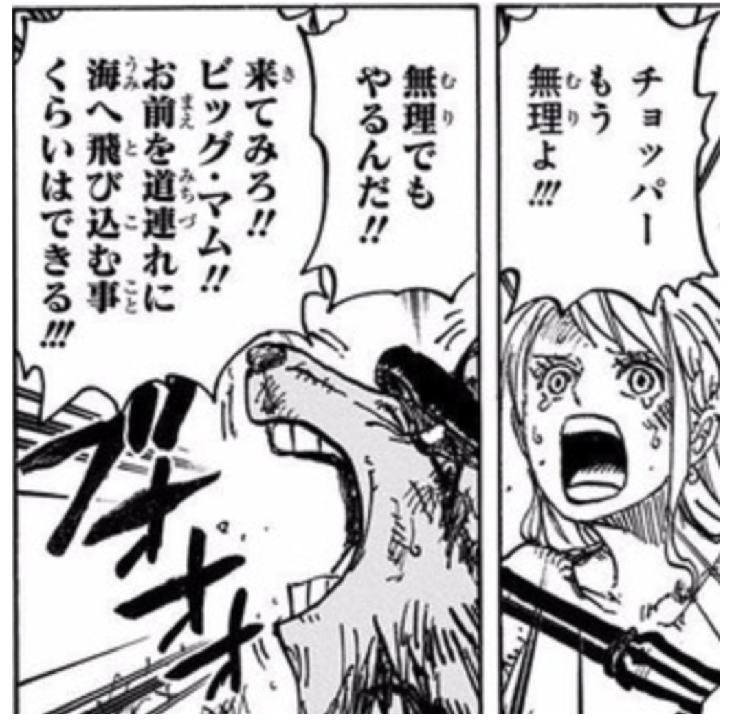 torodog1209's tweet photo. 四皇を道連れにする覚悟🌸
#チョッパーのかわいいだけじゃない好きなところ晒す見た人も晒す https://t.co/8uvsrH9kf2